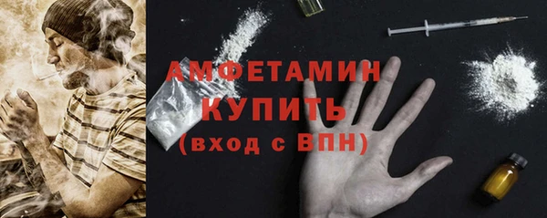 сатива Краснотурьинск