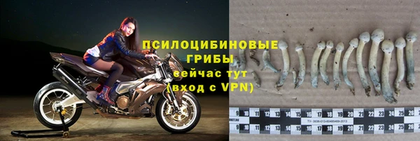 сатива Краснотурьинск