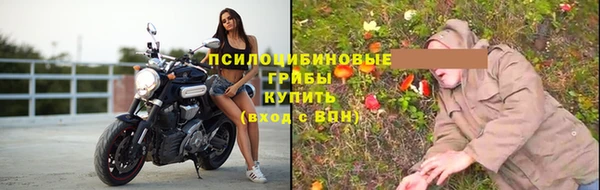 стафф Красноперекопск